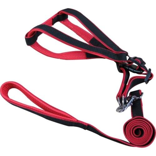 Dog Harness with Leash and Vest Set Durable and Portable Adjustable No Pull Dog Vest for Medium/Large Dogs Suitable for Outdoor