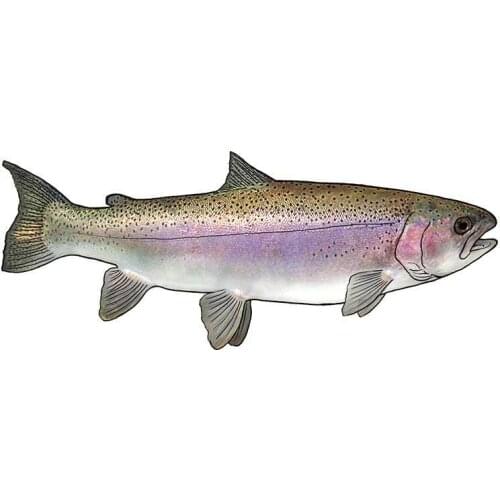 Interesting Salmon Sunscreen Car Stickers Motorcycle Decal Occlusion Scratch Vinyl Material Decoration Good Quality Waterproof