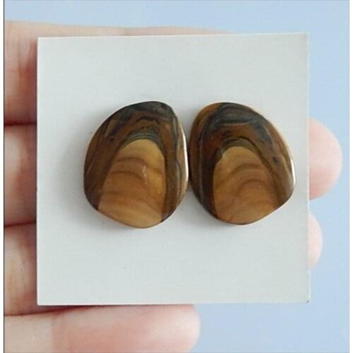 Picture Jasper fashion earring Cabochon Pair,18x15x3mm,3.1g