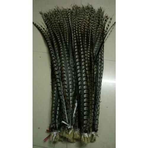 Wholesale 100pcs original natural Lady Amherst Pheasant Feathers 40-44inch/100-110cm Decorative diy Performance Accessories