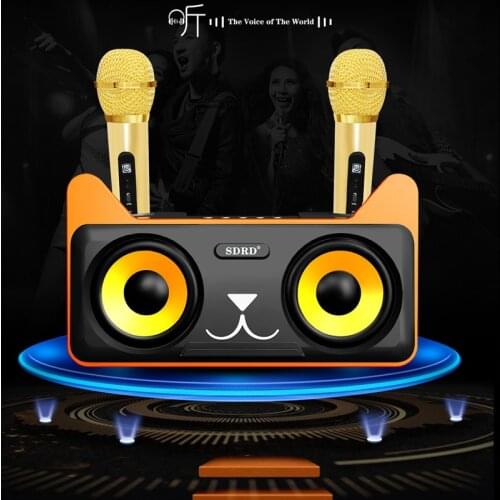 SDRD Portable Audio Equipment