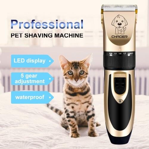 Pet electric clipper dog shaver haircut rechargeable cat teddy dog hair electric clipper shaving machine hair clipper