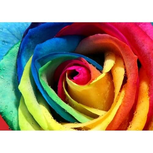 Full Square/Round Drill 5D DIY Diamond Painting "Colored Roses" 3D Diamond Rhinestone Embroidery Cross Stitch Home Decor