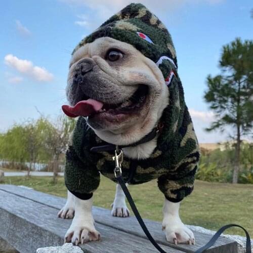 Pet winter dog clothes plush fashion dog coat sports designer pet clothes jacket french bulldog chihuahua pug labrador hoodie