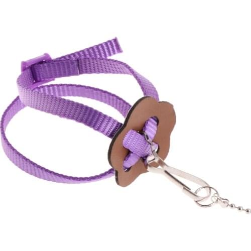 2021 New Parrot Bird Leash Outdoor Adjustable Harness Training Rope Anti Bite Flying Band