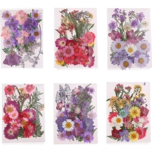 1 Pack Beautiful Natural Pressed Dried Flowers Pressed Leaves - DIY Floral Art Craft Décor Soap Candle Filler Ornaments