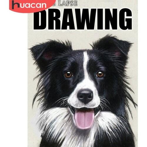 HUACAN Dog Full Drill Diamond Painting Animal Diamond Embroidery Border Collie Mosaic Cross Stitch Decoration For Home