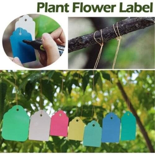 100pcs Waterproof Plant Tag T-type Plastic Nursery Garden Plant Label Flower Thick Tag Label Mark Garden PVC Writing Plate Board