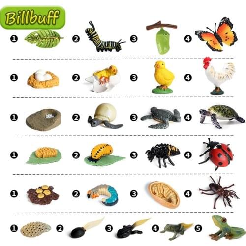 New Butterfly Growth Cycle Bee Ladybug Spider Life Cycle Models Simulation Animal Model Action Figures Teaching Material For Kid