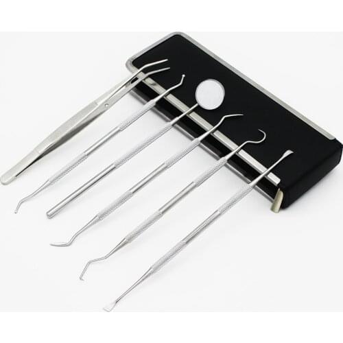 Dental Tools Smile Dent Pro Kit, Stainless Steel Dental Scaler, Mouth Mirror, Tarter Scraper, Tooth Pick, Tweezers, Plaque