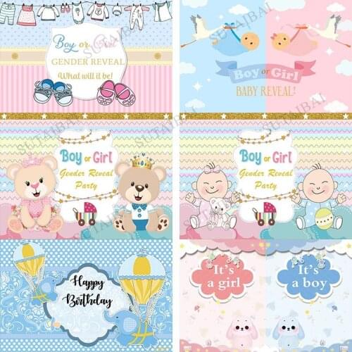 Custom Gender Reveal Party Backdrop Newborn Baby Shower Banner Photobooth Boy or Girl Birdie Photography Background Vinyl