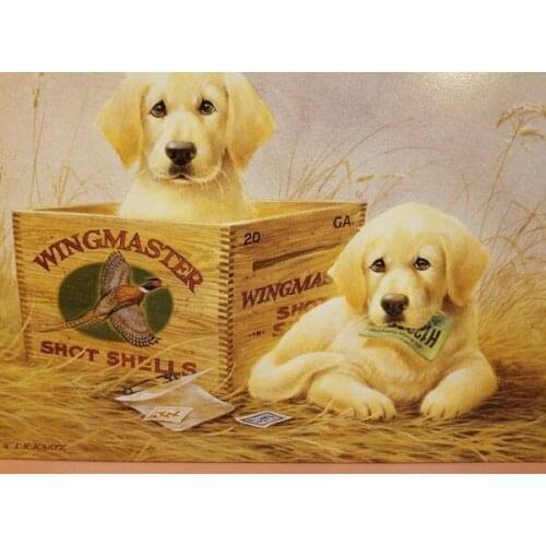 Golden Retriever TIN SIGN Metal Wall Decor WINGMASTER SHOT SHELLS Metal Painting 20X30cm Poster Metal Plaque Metal Poster 2021