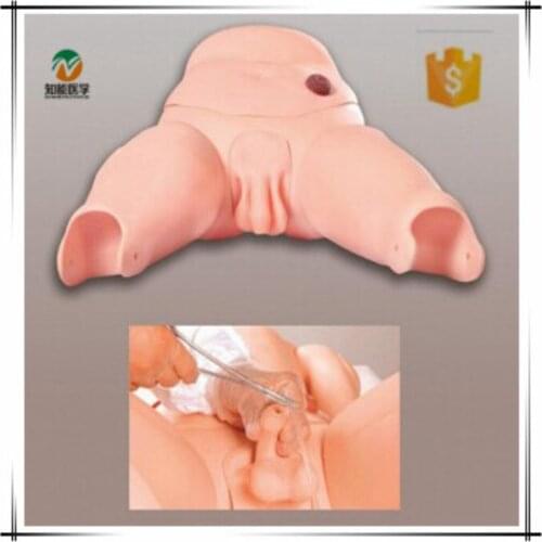 Chinon Male Urethral Catheterization Simulator Medical Science Student Training Teaching Tools Medical Model Vulva BIX-H70/2