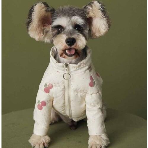 Dog clothes autumn and winter clothes cherry down jacket thick Teddy Schnauzer Pomeranian Corgi fight cute two-legged clothes