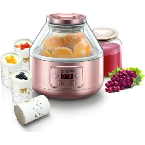Bear Enzyme Machine Yogurt Maker Machine Red Wine Machine Double Container Ceramic Cup SNJ-A20Z5