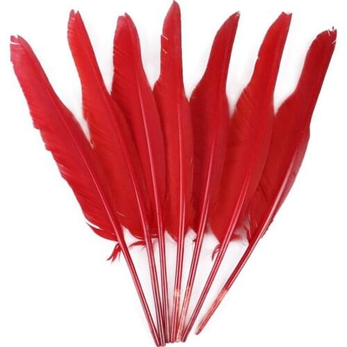 10PCS Dyed Natural Goose Feathers 25-30CM DIY Jewelry Headdress plume For Crafts Hat Decoration Elegant High Quality Feathers