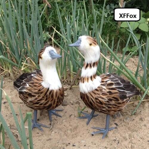 A pair of simulation duck models foam&feather real life duck bird toys gift about 37-38cm xf0764