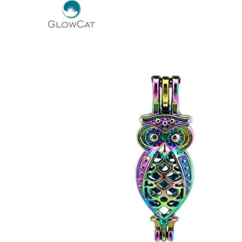 C593 5pcs/lot Rainbow Color 35mm Animal Long owl Pearl Beads Cage Locket Pendant Pearl Locket Fairytale Party