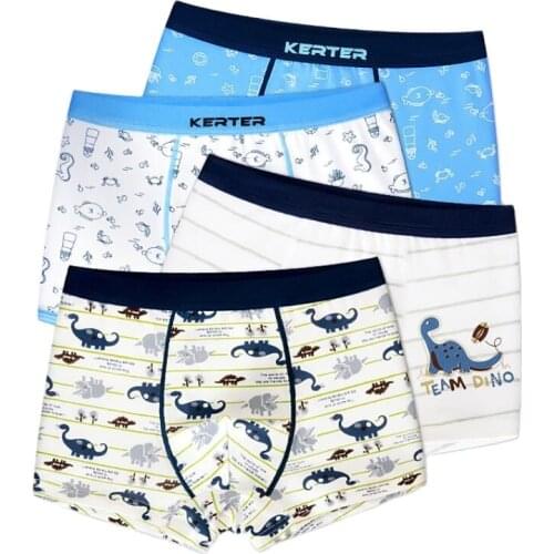 Big kids underwear 100% cotton cartoon dinosaure panties 3-18Y teenage soft comfortable knicker child briefs boys panties 2pcs/L