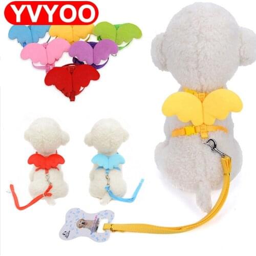 Cute Angel Pet Dog Leashes and Collars Set Puppy Leads for Small Dogs Cats Designer Adjustable Dog Harness Pet Accessori