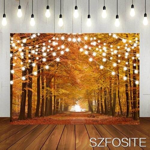 Charming Deciduous Tree Path Photography Backdrop Late Fall Wedding Photo Studio Shot Landscape Pictures Kids Vinyl Background