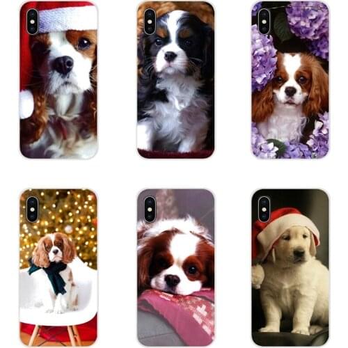 Cavalier King Charles Spaniel Dog Puppy For HTC One U11 U12 X9 M7 M8 A9 M9 M10 E9 Plus Desire 630 530 626 628 816 820 830 Covers