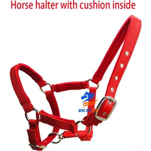 Free shipping PP webbing horse halter with soft cushion inside,NP metal fittings(BLT2007)