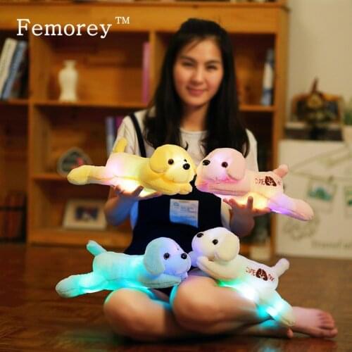 35cm Kawaii Plush Dog Doll with Colorful LED Light Glowing Puppy Dog Stuffed Toy Children Kids Toys Christmas Birthday Gift