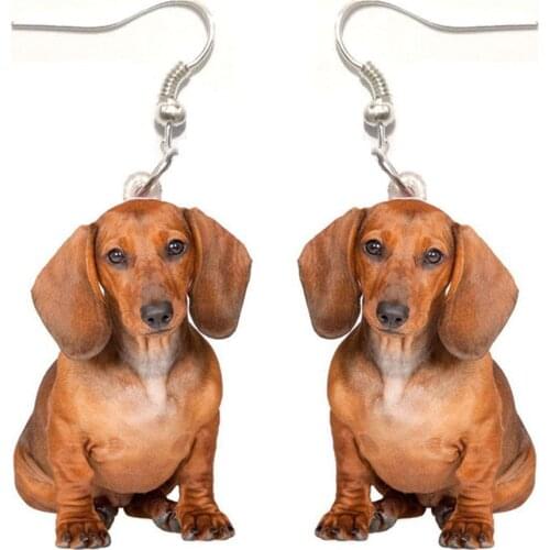 1 Pair Dachshund Acrylic Dog Earrings Womens Jewelry Gifts for Women Love Animal cute charms Earring Cute fashion Unisex NOT 3D