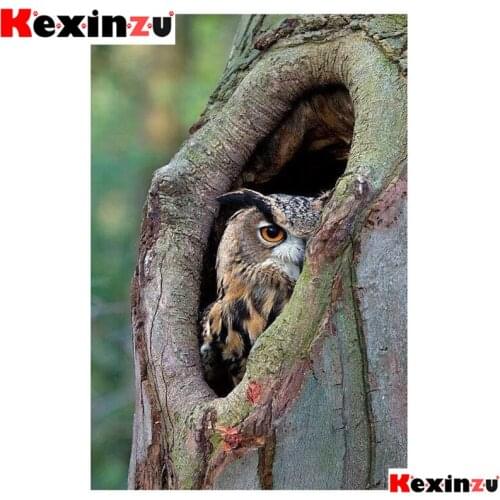 Kexinzu 5d diy Diamond Painting kit Animal owl Cross stitch Diamond Embroidery 3d DIY 5D Diamond Home decoration gift