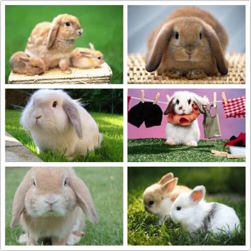 Rabbit Complete Mosaic Pattern 5d Diy Diamond Art Embroidery Home Decoration Animal Diamond Painting Cross Stitch New Year Gift