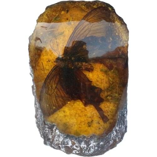 Amber Beeswax Amber insect butterfly specimens Butterfly
