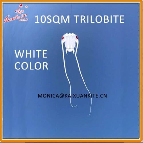 10 sqm Trilobite Kite, soft kite, show kite, Lifter