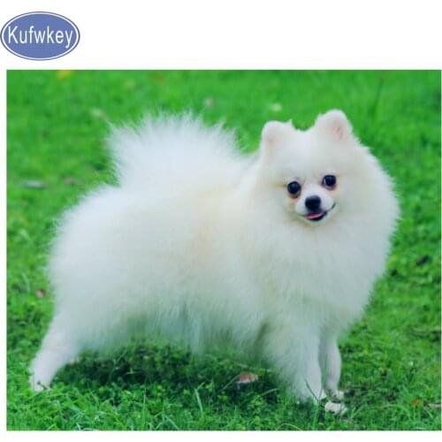 Kufwkey 5d diamond Embroidery white Pomeranian,diamond painting cross stitch,embroidery for children puzzle diamond mosaic,dog
