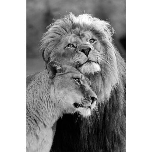 Diy African Wild Lions Love Diamond Painting Full Drill Round Diamond Embroidery Mosaic Cross Stitch Home Painting Of Rhineston