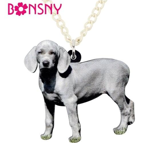 Bonsny Acrylic German Weimaraner Dog Necklace Pendant Chain Choker Unique Animal Jewelry For Women Girls Pet Lovers Accessories