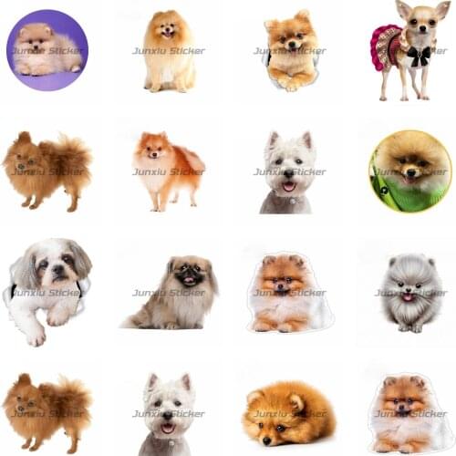 Beautiful Animal Pomeranian Dog Car-Stickers Car Bumper Car Styling Decoration Door Body Window Vinyl Stickers Kk13*13cm