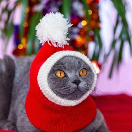 New Years Clothing Ppet Dog Warm Hat Red Christmas Hat Cat Headdress Handmade Knitted Hat Cute Decorations