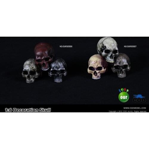 1/6 Scale 3pcs Human Skeleton Skull Model Fit for 12in Action Figure Accessories Parts Scene Toy