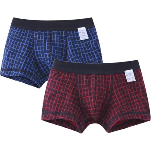 Children Cotton Panties Boys 2pcs Plaid 4 5 6 7 Years Boxer Briefs Kids Fashion Boutique Clothes