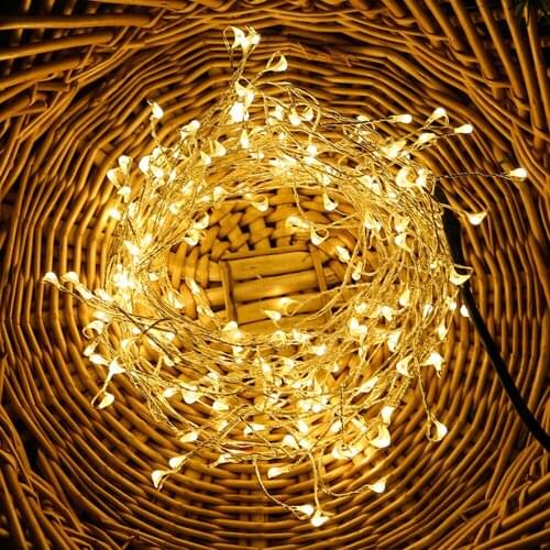 Spstnfsf LED String Lights With Transparent Wire