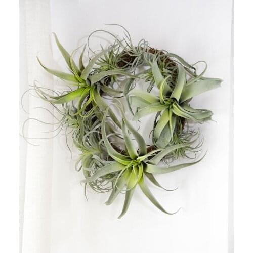 Shine&Sasha Interior Decor Items