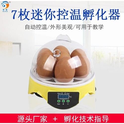 7 eggs, small hatchery, family hatchery, chicken and duck automatic teaching experiment incubator