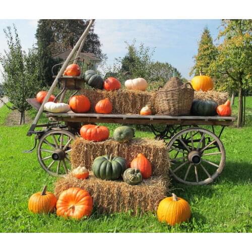 5x7 Halloween Photography Backdrop Background Cloth Digital Vinyl Photo Background Studio Props Pumpkin Backdrops