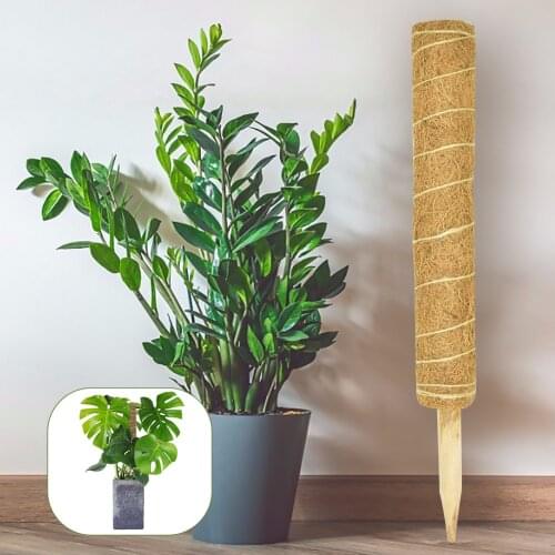 Garden Coir Totem Coconut Palm Sticks Vine Support 2pcs Support Gardening Coconut Palm Stick Plant Growth Support Rod