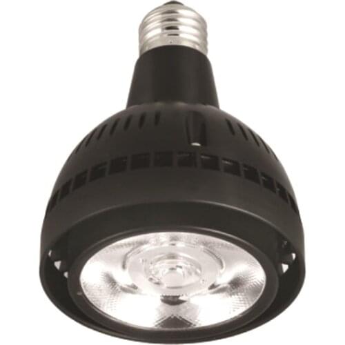 10PCS LED PAR30 lamp 35w 40w 50w track light PAR Light Bulb PAR30 E27 COB LED Warm White spot lamp for kitchen clothes shop