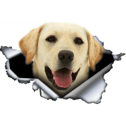 Dawasaru Pet Dog Labrador Retriever 3D Torn Car Sticker Original Design Vinyl Car Trunk Bumper Decor Custom Decal 13cm X 9cm