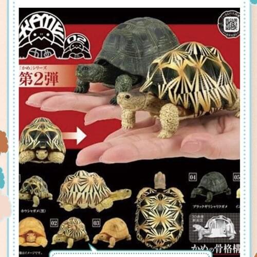 Japan BANDAI Gashapon Capsule Toys Joint Movable Crawler Sulcata Simulation Tortoise Model Series 2 Table Ornaments Decoration