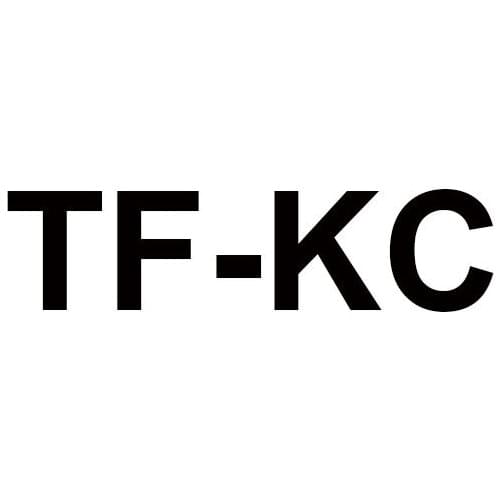 TF-KC 1 S925 cute insects, 1:1 customizable, couple holiday gifts, customizable, 925 silver