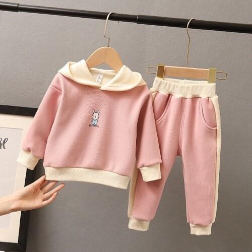 Baby Girls Clothes Set Kids Spring Autumn Hooded Sweatshirt Children Casual Cute Pullover Tops+Pants 2Pcs Suit Children Clothes